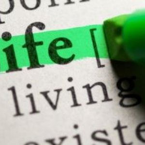 Incontro sul coatching in Biblioteca